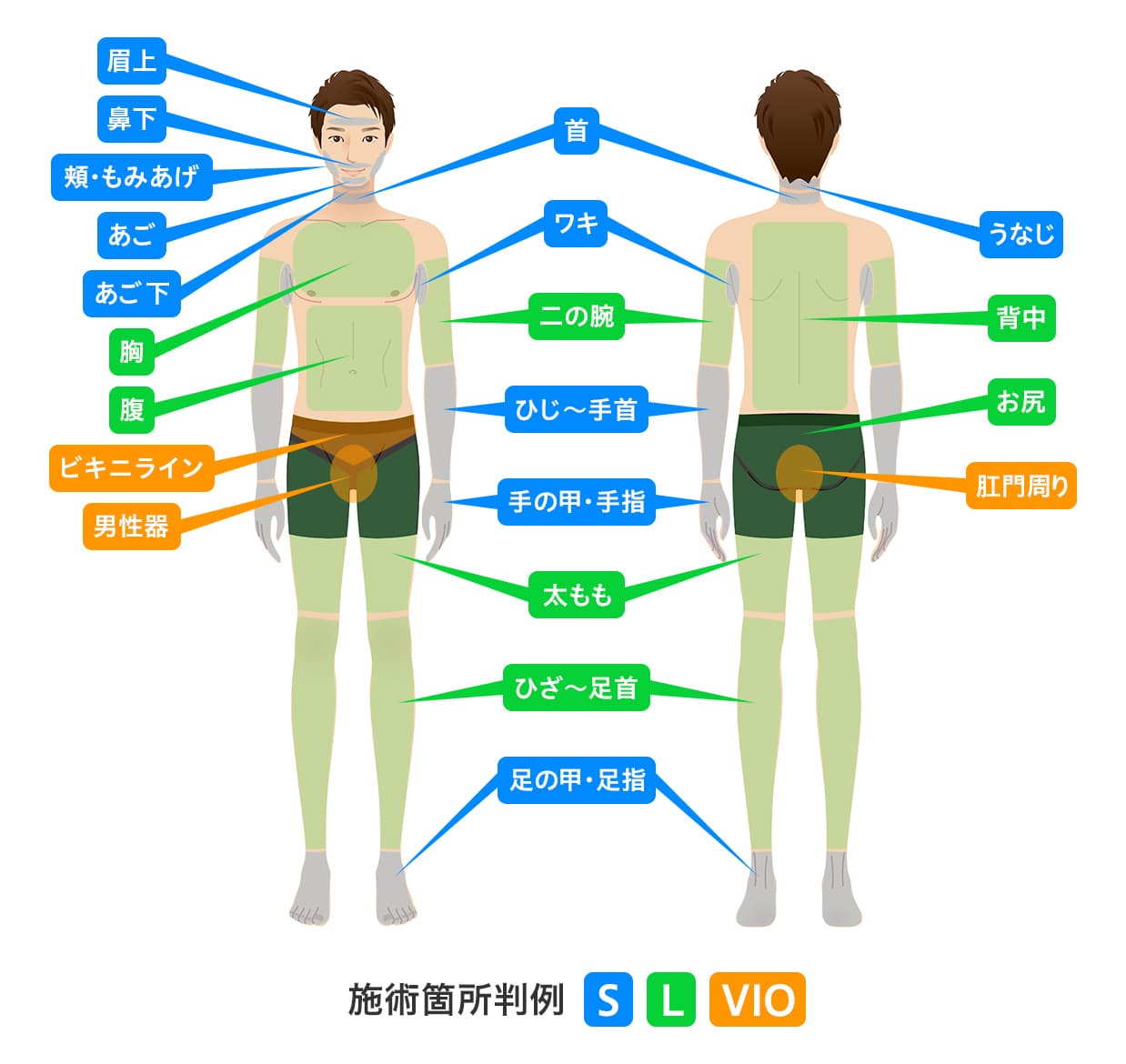 施術可能箇所